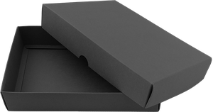 Box (11x8x3,5 cm) 1240037